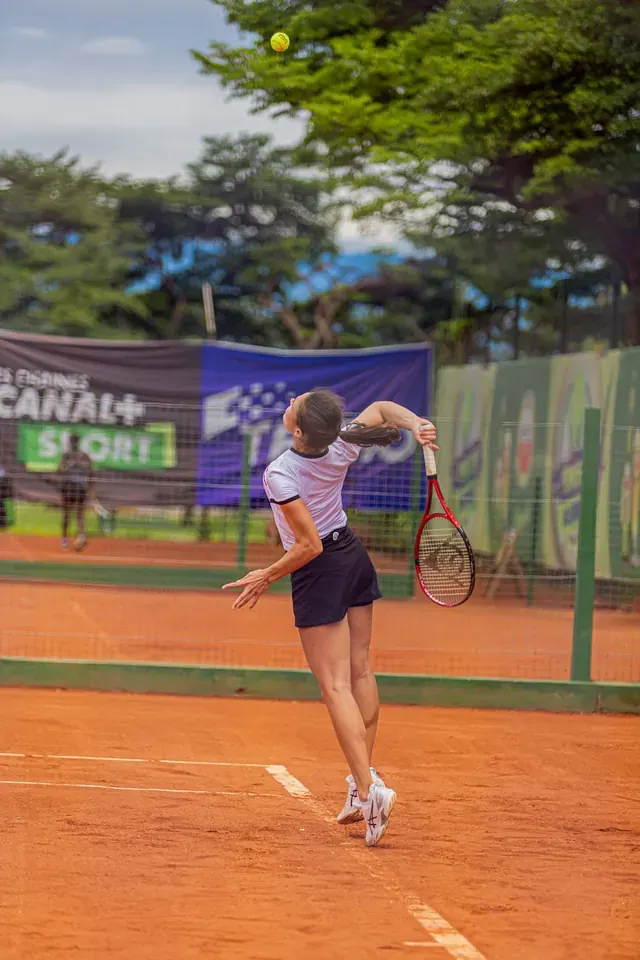 **Wimbledon Champions & Players: Profiles, Stats & Careers**