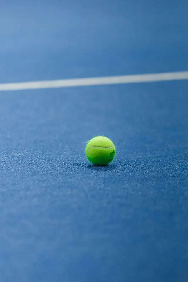Wimbledon's Longest Match Ever: Isner vs. Mahut Case Study
