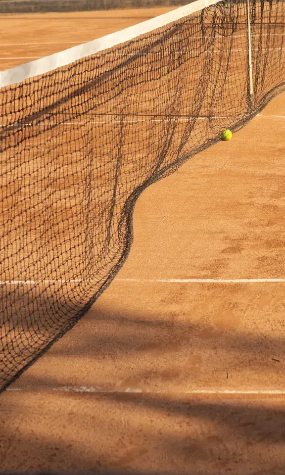 Wimbledon Wild Cards: History, Award Criteria & Notable Recipients